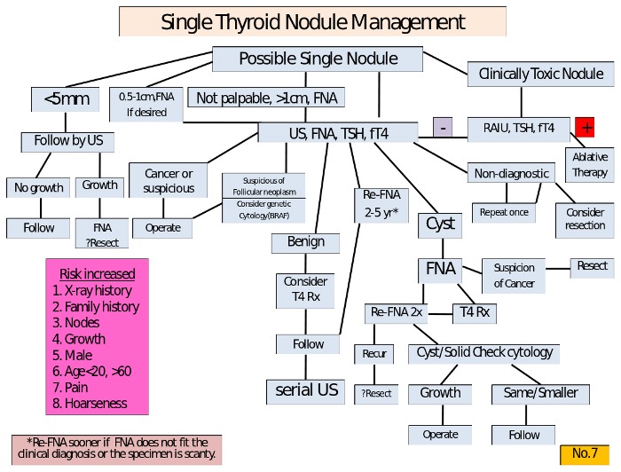 Thyroid Nodule Size Chart