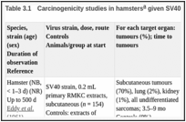 表Table .1. Carcinogenicity studies in hamsters given SV40 by subcutaneous inoculation.