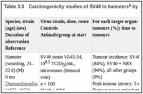 表Table .3. Carcinogenicity studies of SV40 in hamsters by intravenous or intracardiac inoculation.