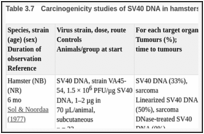 表Table .7. Carcinogenicity studies of SV40 DNA in hamsters.