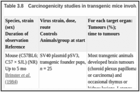 表Table .8. Carcinogenicity studies in transgenic mice involving SV40 with natural viral promoter.