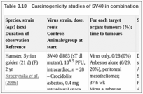 表Table .10. Carcinogenicity studies of SV40 in combination with asbestos in experimental animals.
