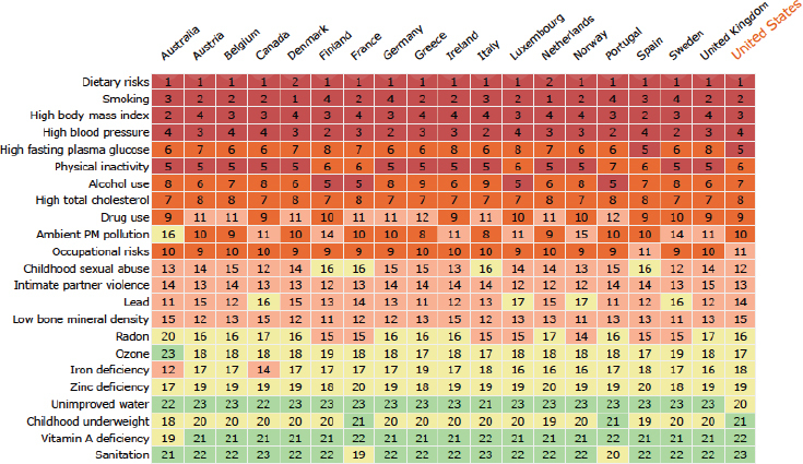 FIGURE 3-1. Heat map of the top risk factors that contribute to the burden of noncommunicable diseases in Western countries.