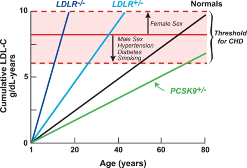 Figure 4. . Relationship between cumulative LDL-C exposure, age, and the development of the clinical manifestations of ASCVD.