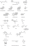 Figure 4.3. Structures of compounds discussed in Section 4.