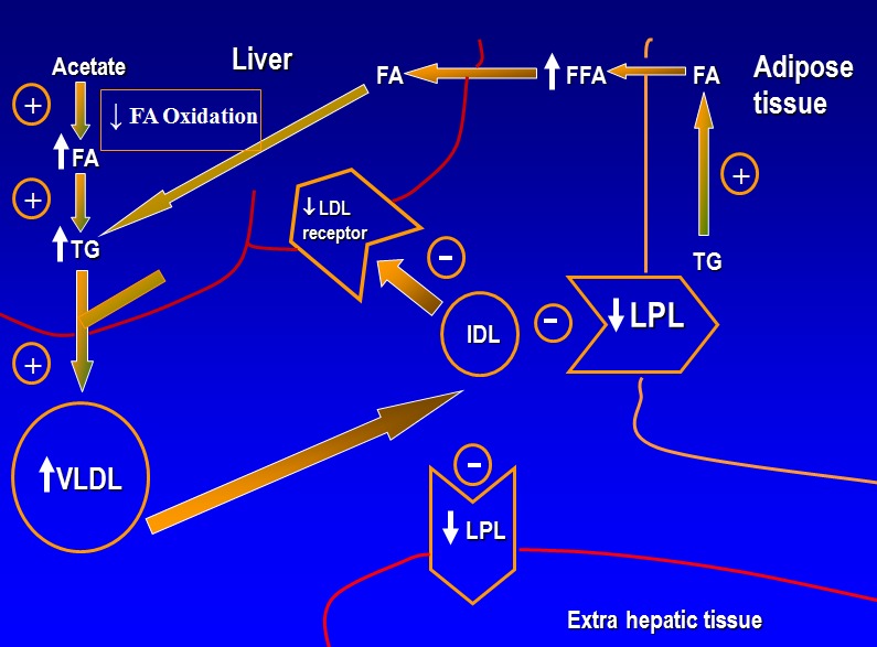 The Effect Of Inflammation And Infection On Lipids And Lipoproteins Endotext Ncbi Bookshelf