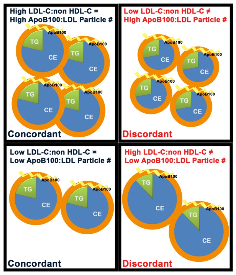 Figure 8. . Schematic of the Relationship Between Measurements of LDL-C Versus ApoB100 Particle Number in Concordant and Discordant Human Populations.