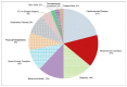 Figure 6 is a pie chart representing the distribution of systematic reviews included for each of the following clinical focus areas: Cardiovascular disease (21%), Mixed Chronic Condition (15%), Diabetes (14%), Behavioral Health (12%), Mixed (10%), Physical Rehabilitation (8%), Respiratory disease (9%), ICU or Surgery Support (5%), Burn Care (2%), Dermatological Conditions (2%), and Preterm Birth (2%).