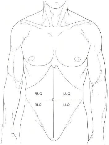 Figure 80.1. The abdominal quadrants; right upper, right lower, left upper, and left lower.