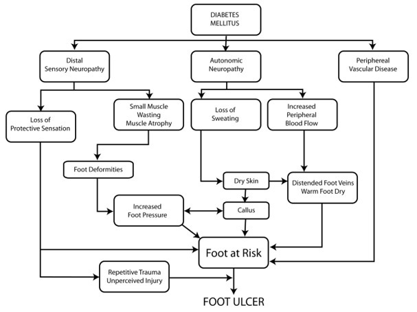 The Diabetic Foot - Endotext - NCBI Bookshelf