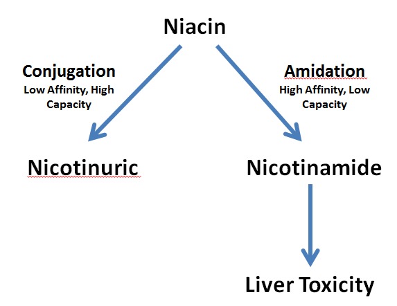 Statin Triglyceride Reduction Chart