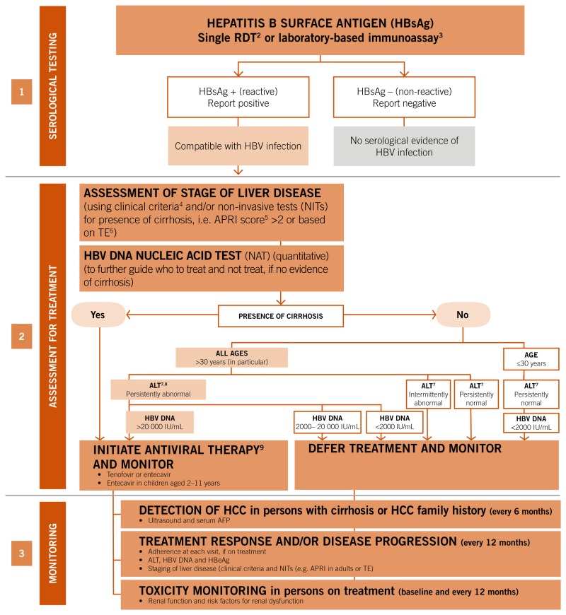 Fig 2 Summary Algorithm For Diagnosis Treatment And Monitoring1