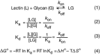 FIGURE 29.2.. Equations governing the interactions of a glycan-binding protein or lectin (L) with a glycan ligand (G).