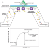 FIGURE 29.5.. Example of surface plasmon resonance (SPR).