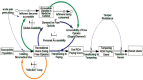 FIGURE 5-1. A systems model of the opioid misuse problem.