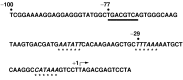 Fig. 18.6. HHV-6A DNA polymerase (U38) promoter.