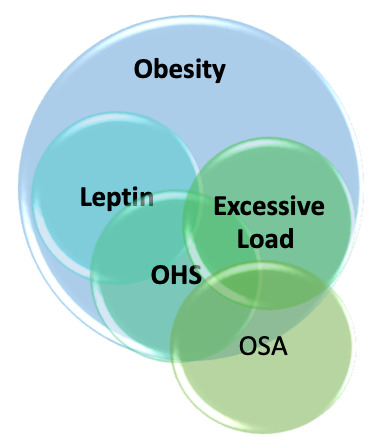 Illustration of responsible causes for obesity hypoventilation syndrome (OHS) and relationship between these major factors