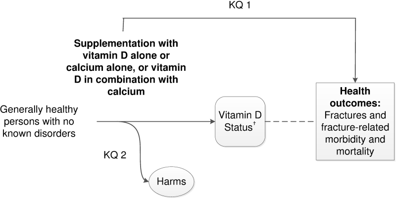 Figure 1 Analytic Framework Vitamin D Calcium Or
