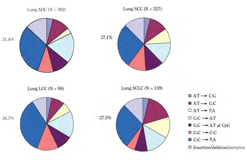 Mutations In Lung Cancer Pie Chart