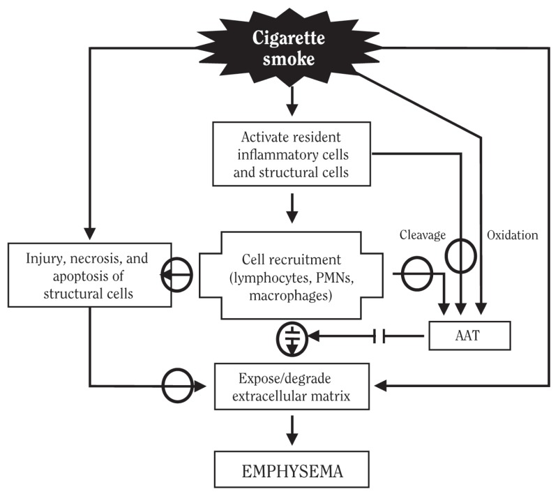 Emphysema Chart