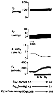 Figure 6.10. Hypoxic vasodilation.