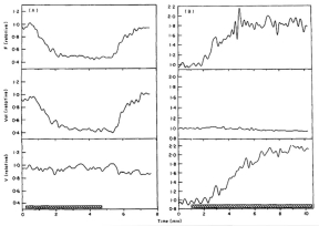 Figure 6.18. Cat ONH responses to hyperoxia (left) and hypoxia (right) measured by LDF (F: blood flow: Vol: index of number of moving blood cells; V: mean velocity of moving blood cells).