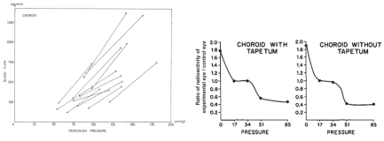 Figure 6.21. Early evidence against (left) and for (right) choroidal autoregulation based on binocular microsphere measurements in cats with IOP elevated in one eye.