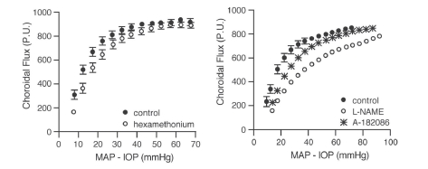 Figure 6.24. Inhibition of neural control by ganglionic blockade with hexamethonium causes a modest downward shift in the pressure-flow relationship but flow remains pressure-independent over a wide pressure range, indicating the autoregulatory behavior is locally mediated.