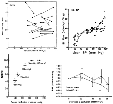 Figure 6.30. Autoregulation of retinal blood flow in monkey (top left), piglet before (circles) and after (triangles) ibuprofen (top right), rabbit (bottom left) and cat before and after L-NAME.