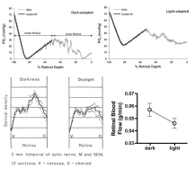 Figure 6.31. Effect of light on retinal metabolism and blood flow (data for lower right graph from Table 1). Reproduced with permission from Eye, Nature.