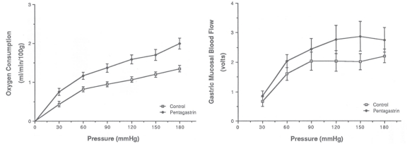 Figure 6.9. Metabolic activity and autoregulation.