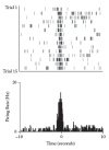 FIGURE 2.5. Example of a raster and histogram display for a single neuron.