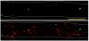 Figure 3.3. Adhesion of fluorescently-labeled platelets to endothelial cells of a mouse cremaster venule, under endotoxin-induced inflammation.