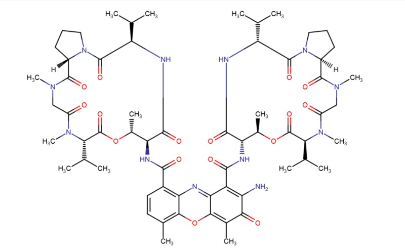 Dactinomycin Chemical Structure