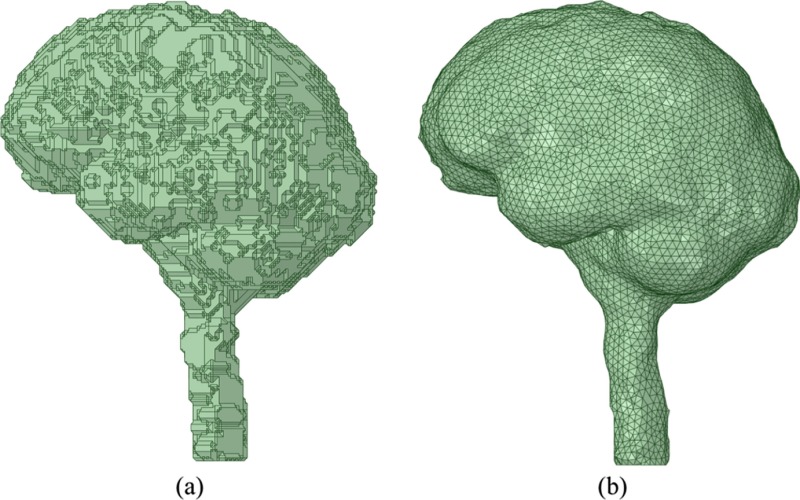 Fig. 13.5, [CSF object of AustinMan (a) after combining faces and (b ...