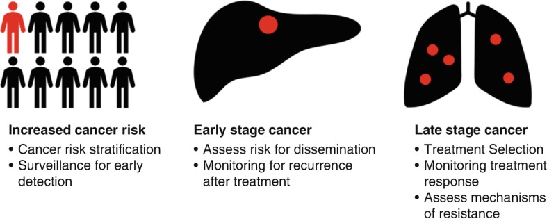 Fig. 7.1. The role of liquid biopsy according to disease stage in HCC.