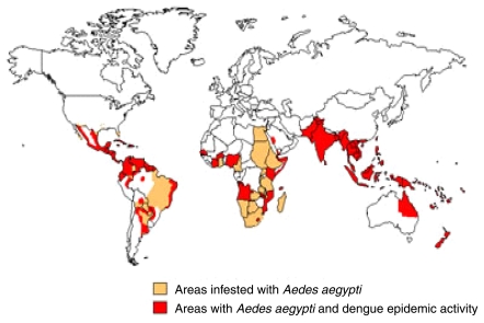 FIGURE 1-4. World distribution of dengue, 2005.