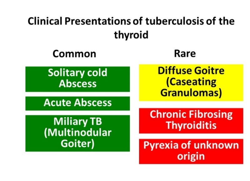 Figure 3. . Presentations of thyroid tuberculosis (TTB).