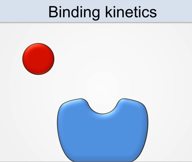 Analyzing Kinetic Binding Data - Assay Guidance Manual - NCBI Bookshelf