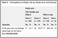 Table 6. Perceptions of Daily Life by Study Arm and Survey Wave.