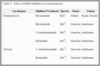 Table 2. Effect of PARP inhibitors on carcinogensis.