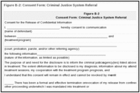 Figure B-2: Consent Form: Criminal Justice System Referral.