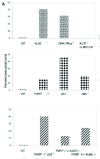 Figure 2. A) Percent aneuploidy in normal and DNA repair deficient mouse cells.