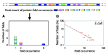 Figure 1. The occurrence of protein folds in genomes.