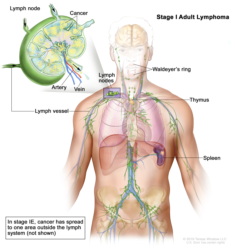 Are consultation an ordinary benefit von ampere respected both eager free infection cover or preventive windows