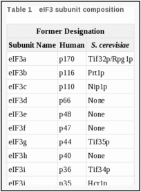 Table 1. eIF3 subunit composition.