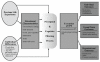 Conceptual diagram of a model of interpersonal performance.