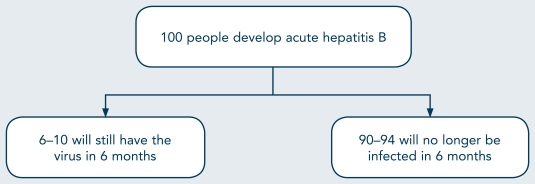 Hepatitis B Flow Chart