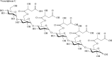 FIGURE 3.4. Veracylglucan C: a maloyl glucan isolated from Aloe vera.