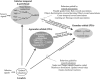 FIGURE 4.3. Convergent contributions to PFo function.